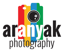 Aranyak